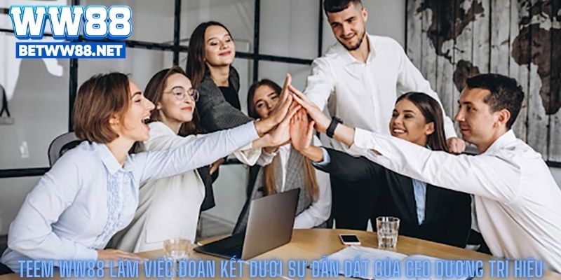 Teem ww88 làm việc đoàn kết dưới sự dẫn dắt của CEO Dương Trí Hiệu