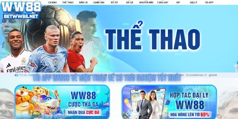 Tải app ww88 về điện thoại để có trải nghiệm tốt nhất